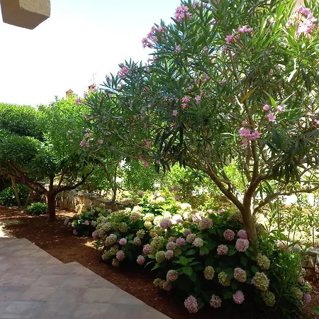 Olea Ii Krk * Krk Town