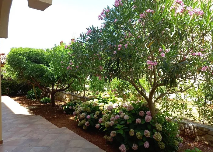 Olea Ii Krk * Krk Town
